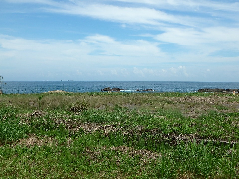 海前売地　南房総市千倉町白間津　1020.36㎡（308.65坪）　1億2000万円 サムネイル画像1