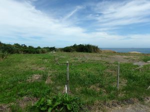 千葉県南房総市千倉町白間津の不動産、海が見える土地、海一望の別荘用地、時折する潮の香も心地良い