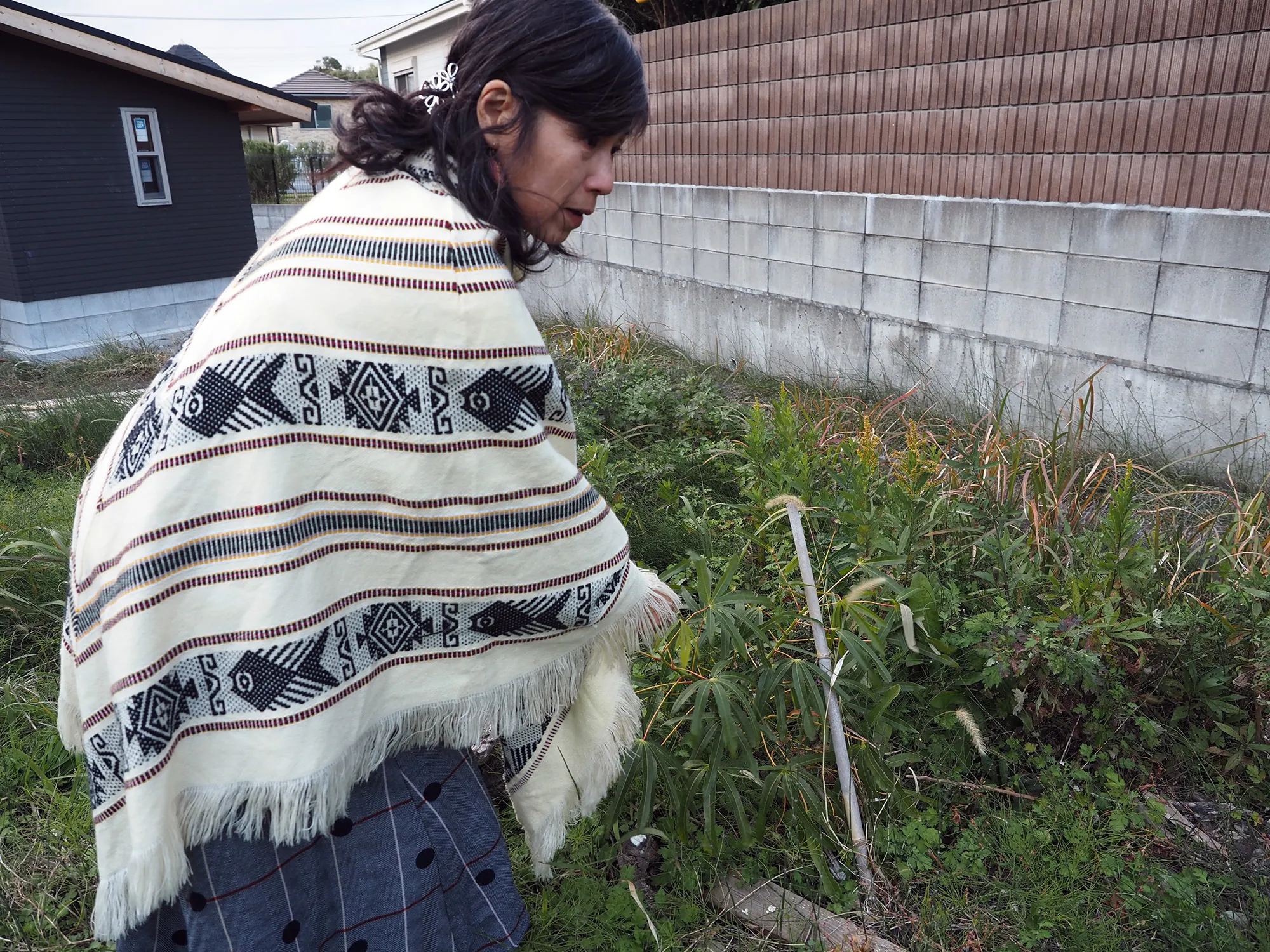 【畑にあるキャッサバ（イモ）の様子をチェックする深津さん】