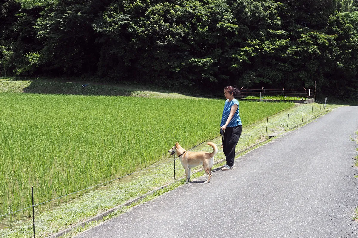 【毎日のお散歩風景】